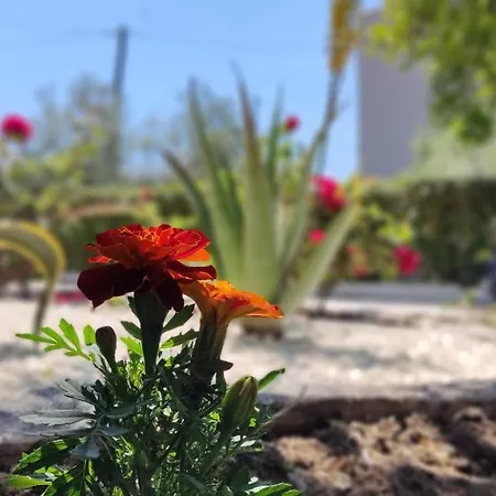Elina House And Garden Nikiti (Sithonia)