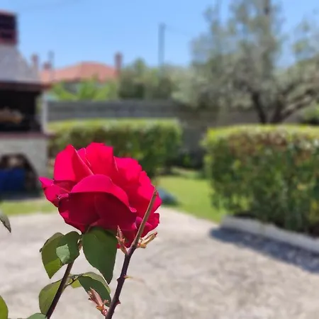 Elina House And Garden *