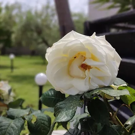 Elina House And Garden Feriehus *