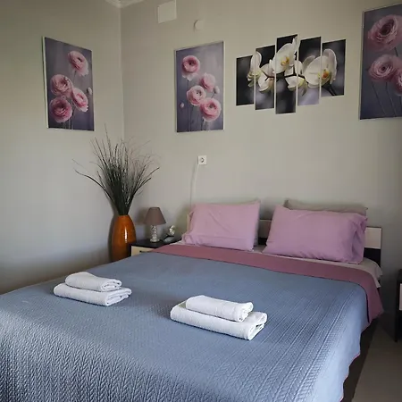 Elina House And Garden 度假居 *