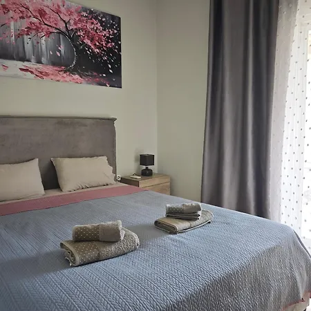 Elina House And Garden 尼基季