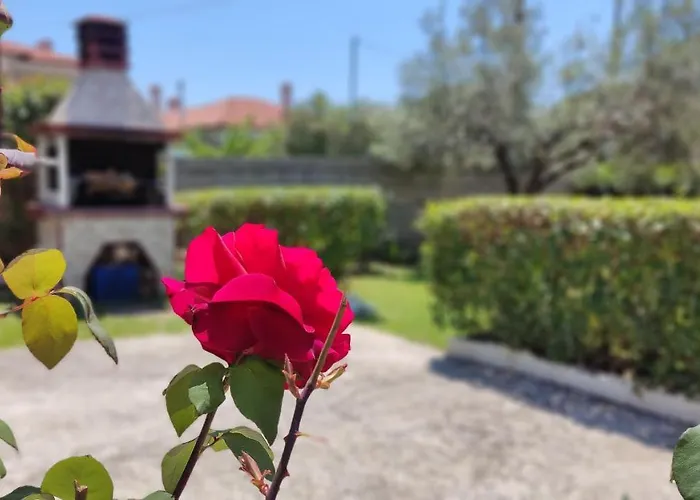 Elina House And Garden *