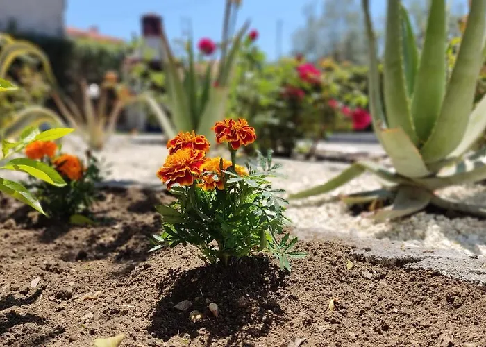 Elina House And Garden Σπίτι διακοπών Νικήτη